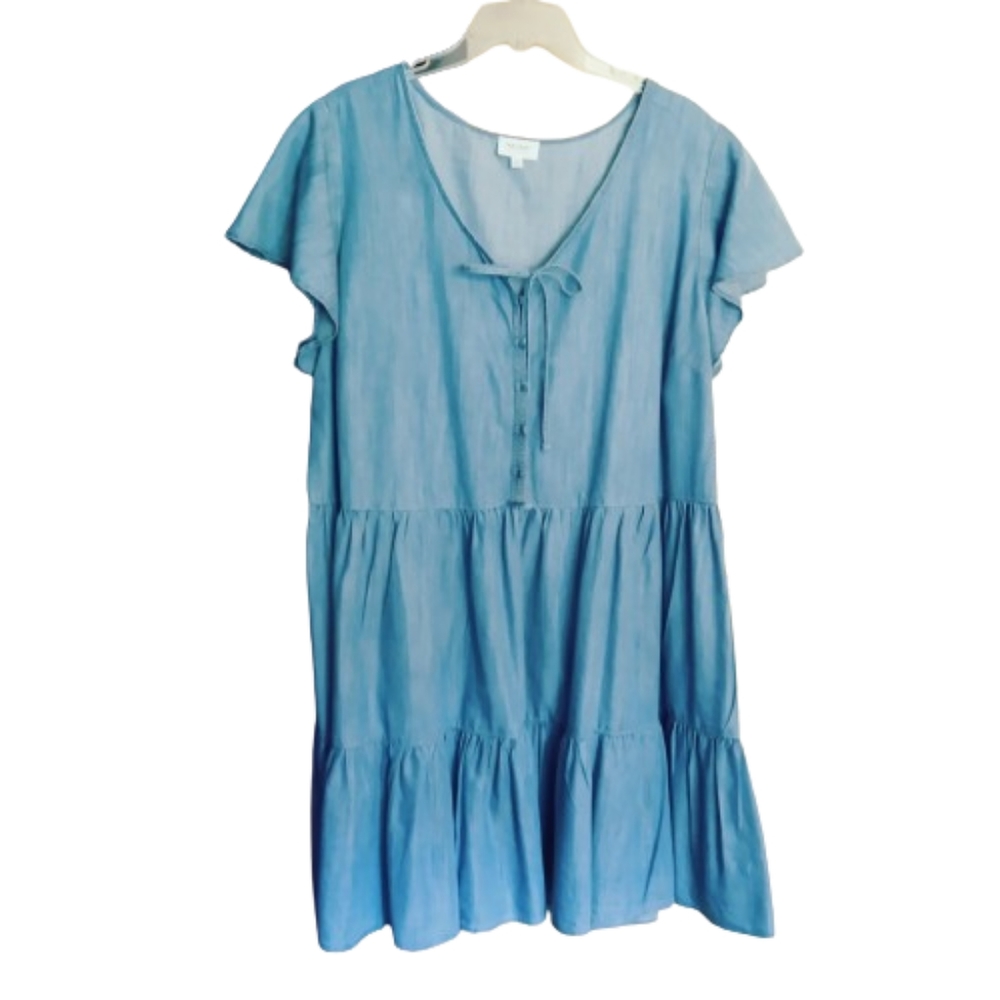 True Craft Chambray V Neck Size 2X